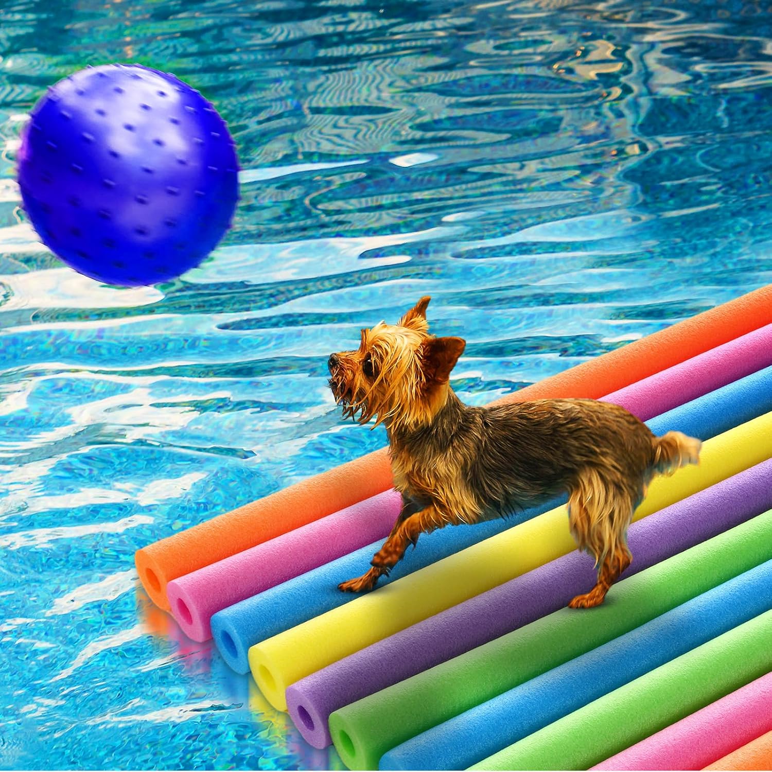 18 Pack Pool Noodles Bulk 39 x - Foam Pool Noodle 评论和价格